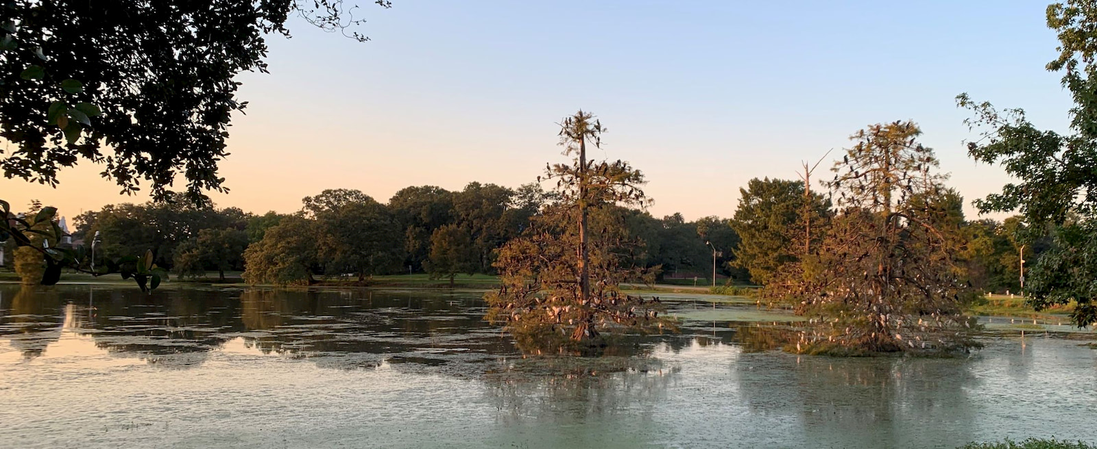 Sounds Aware (2019 - 2021)